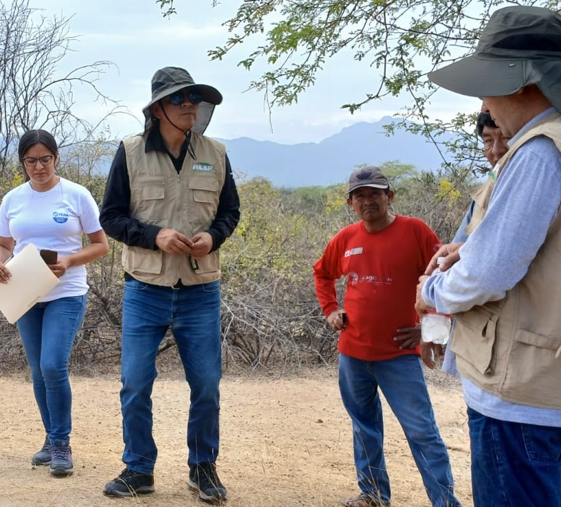 Asistencia técnica PAAP