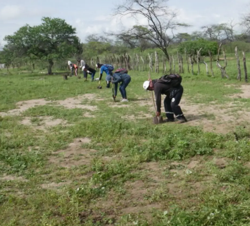 Gestión ambiental PAAP