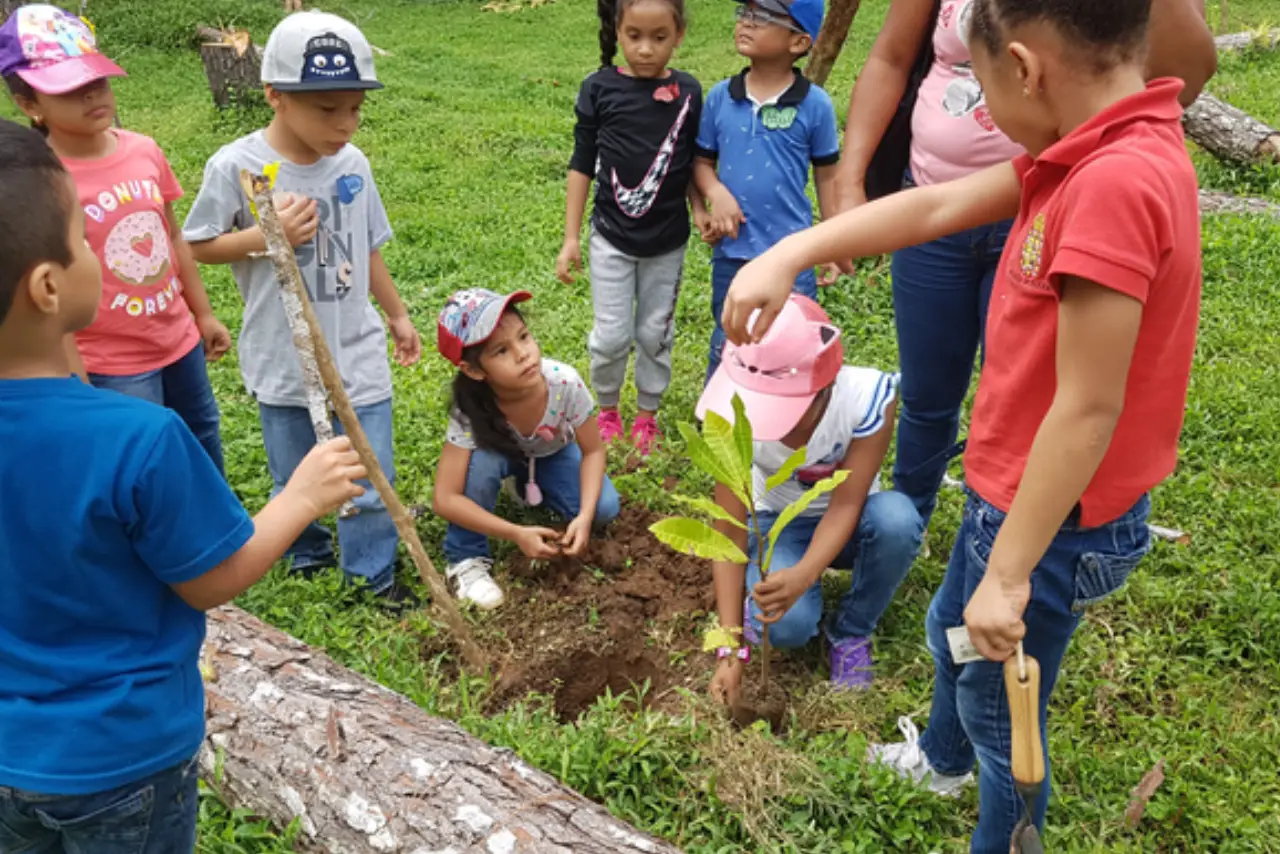 Educación ambiental PAAP