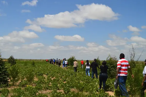 Restauración ecológica PAAP